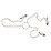 ������ ������ ��� ������ � ������� ��� Nipple clit chain (18542) ���� 2