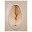 ������ ����-����� Devons Futurotic Pleasure Doll (10522) ���� 3