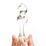 ������ �������� ������ Crystal Delights Mini Twist (16034) ���� 2