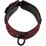      Scandal Collar with Leash (16262)  5