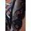 ������ ���� Alexia Body (17964) ���� 2