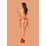 ������ ����� ������� Obsessive Lovlea (22006) ���� 5