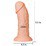   Lovetoy 9.5 Realistic Curved Dildo (22209)  14