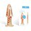 ������ �������� ������ � ������� Rock Candy (12125) ���� 2