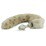 ������ ������� ������ � ������� ������ Crystal Minx Faux Fur Tails Snow Leopard Faux Tail (16939) ���� 