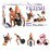 ������ ����-������ Inflatable Sex Machine (Pipedream) (03757) ���� 