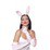 ������ ����� Bunny (10665) ���� 